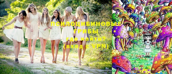 первитин Карпинск