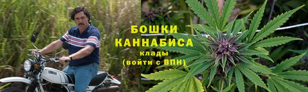 первитин Карпинск